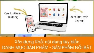 Hiển thị danh mục sản phẩm theo dạng Khối nội dung tùy biến