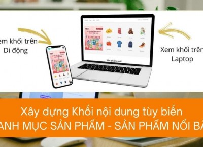 Hiển thị danh mục sản phẩm theo dạng Khối nội dung tùy biến